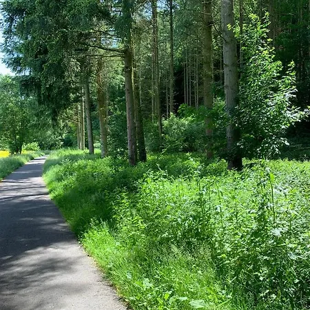Heckespatz Relaxen Mit Whirlpool Und Pool - Ab Mitte Juni 23 - Am Waldrand * Hochstetten-Dhaun