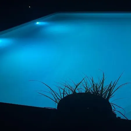 Apartment Heckespatz Relaxen Mit Whirlpool Und Pool - Ab Mitte Juni 23 - Am Waldrand