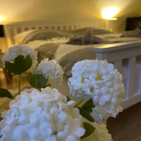 Appartement Heckespatz Relaxen Mit Whirlpool Und Pool - Ab Mitte Juni 23 - Am Waldrand Hochstetten-Dhaun